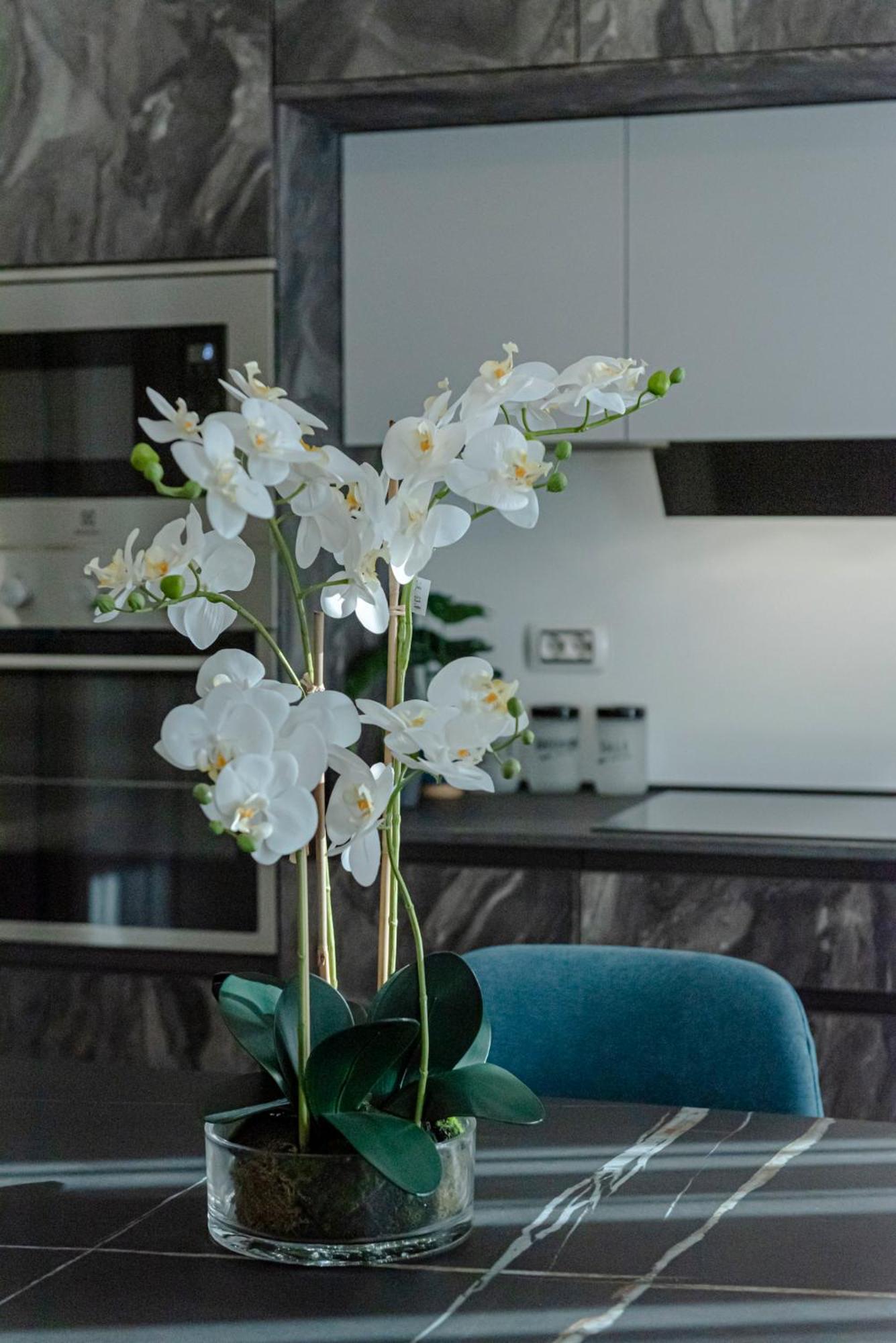 Bed & Breakfast Il Narciso Roma Exterior foto